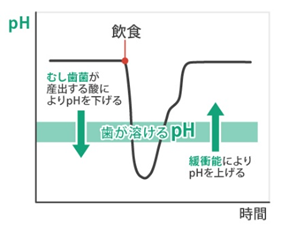 予防歯科｜にしい歯科クリニック｜大阪市中央区の高麗橋にある歯科・歯医者